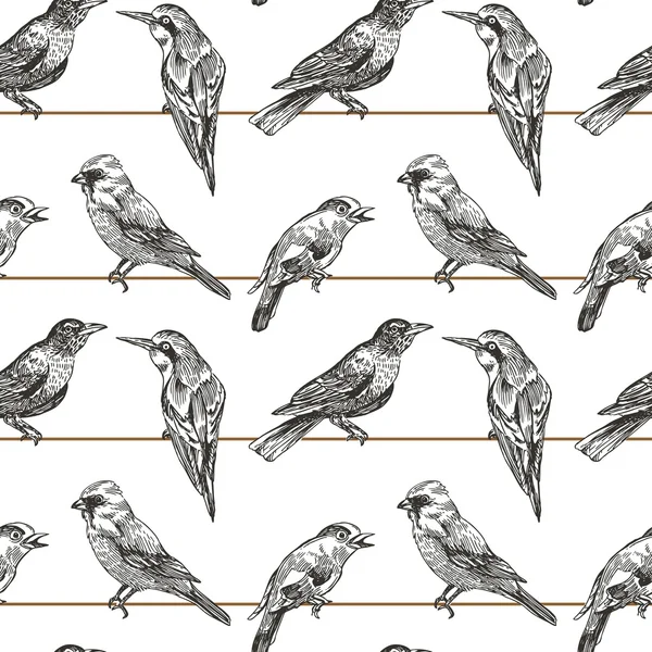 Seamless pattern birds — Stock Vector
