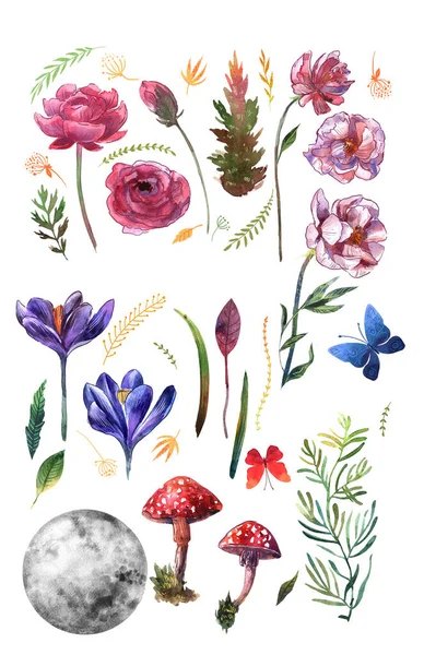 Akvarell blommönster. Handritade blommor. — Stockfoto