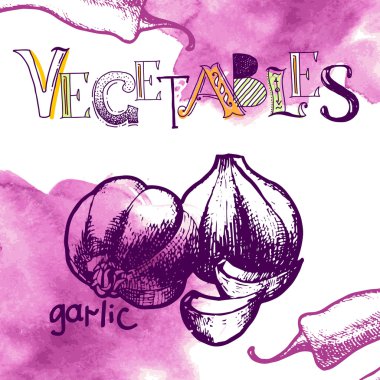 vektör sebze arka plan