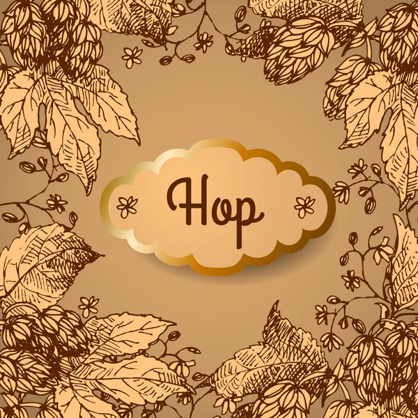 Hopfen. Vektorillustration. — Stockvektor