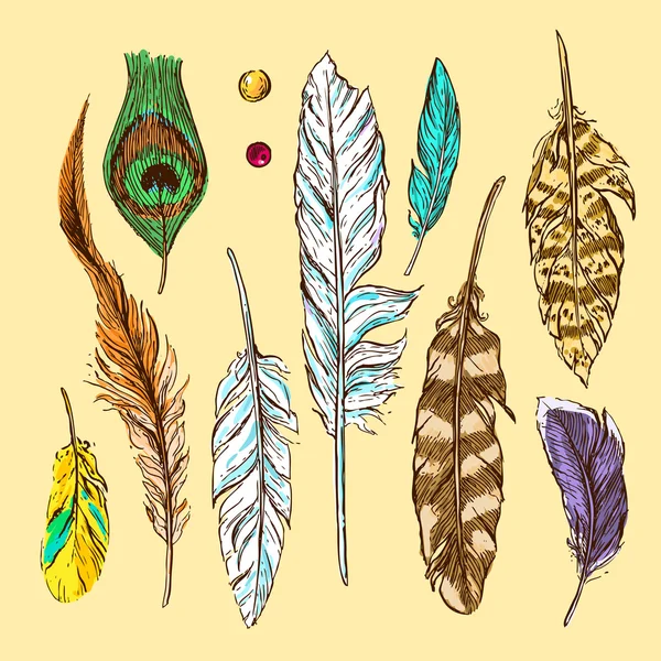 Feathers for you — Stock Vector