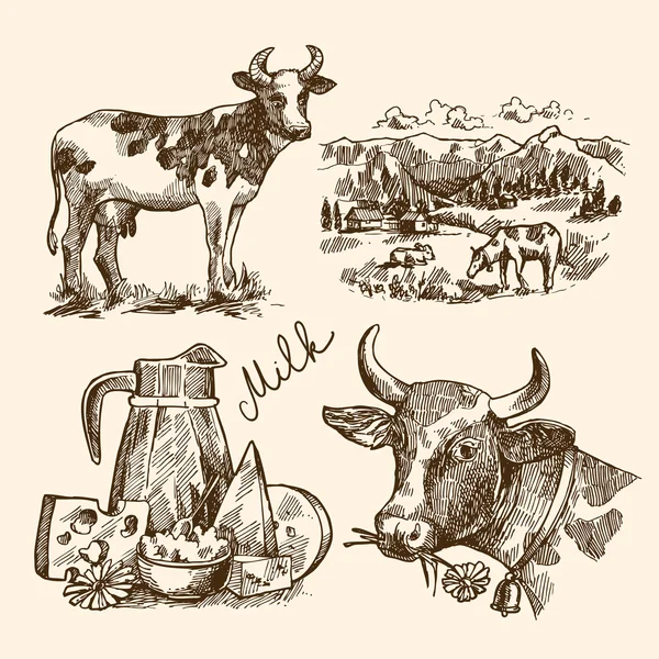Skizze Milchprodukt — Stockvektor