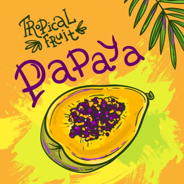 drwan vektör meyve el