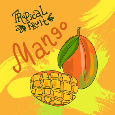 drwan vektör meyve el