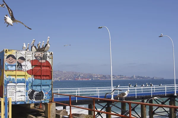 Fischereihafen von Valparaiso — Stockfoto