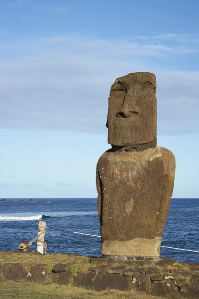 Rapa Nui Moai heykele