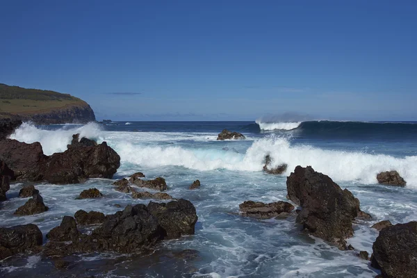 Côte de l'île de Pâques — Photo