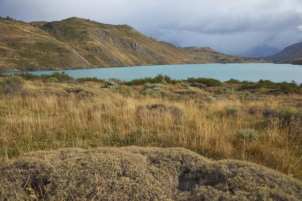 Rio Paine i Torres del Paine National Park — Stockfoto