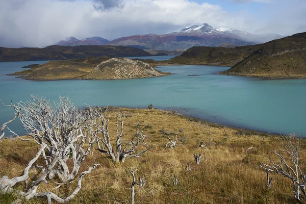 Táj a Torres del Paine Nemzeti Park — Stock Fotó