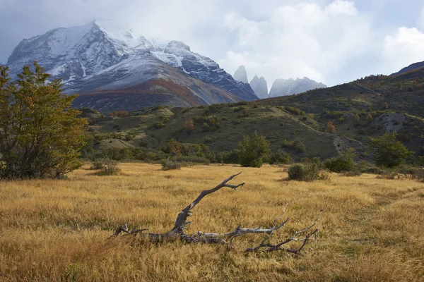 Krajobraz Torres del Paine — Zdjęcie stockowe