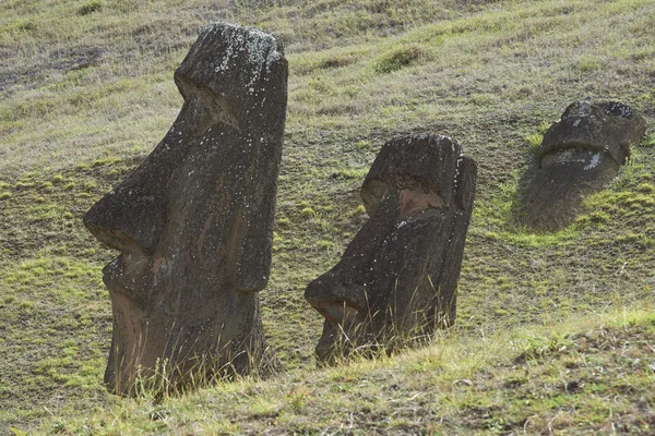 Statues de l'île de Pâques — Photo