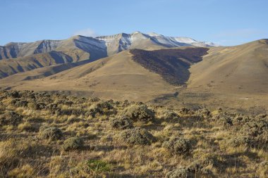 Torres del Paine Ulusal Parkı