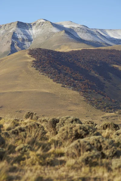 Parco Nazionale Torres del Paine — Foto Stock