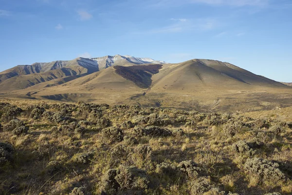 Nationaal park Torres del Paine — Stockfoto