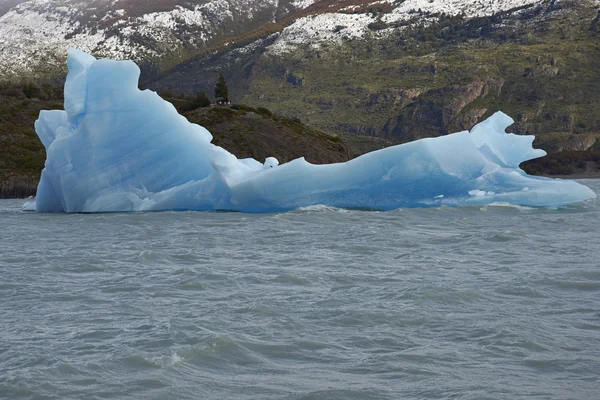 Lago Grey a Torres del Paine — Foto Stock