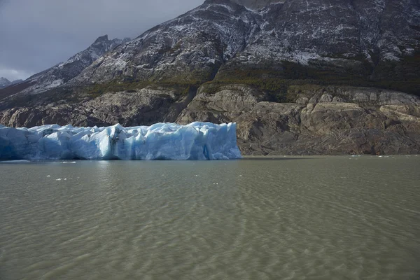 Glaciar Grey en Parque Nacional Torres del Paine —  Fotos de Stock