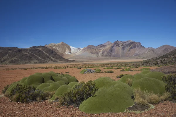 Krajobraz Altiplano — Zdjęcie stockowe