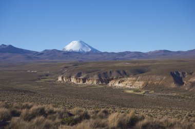 Volcano on the Altiplano