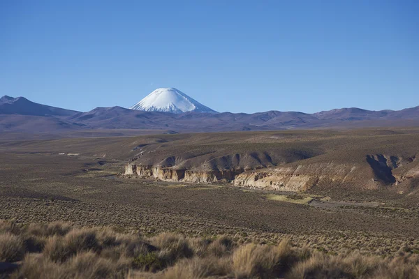 Volcano on the Altiplano — стокове фото