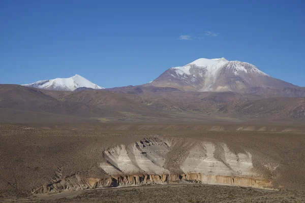 Volcan sur l'Altiplano — Photo