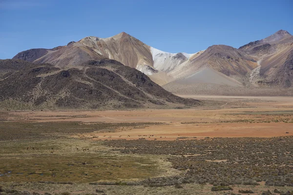 Barevná krajina na Altiplanu — Stock fotografie