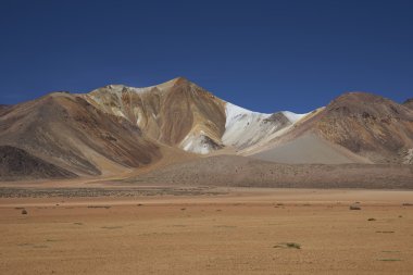 Colourful Landscape of the Altiplano clipart