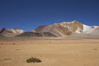 Altiplano renkli manzara