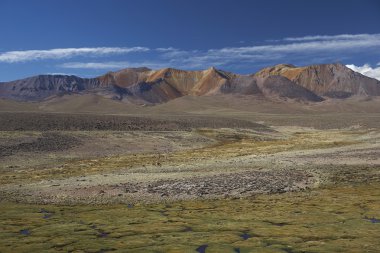 Landscape of the Altiplano clipart
