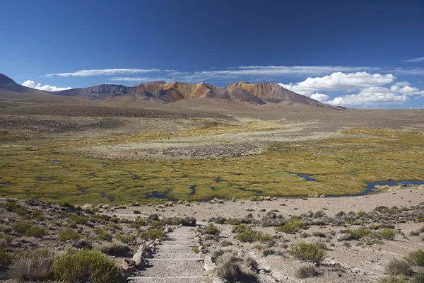 Landscape of the Altiplano — Stock Photo, Image