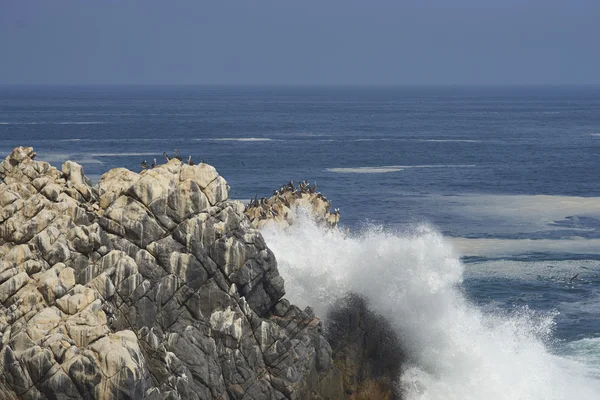 Guano Covered Rocks on the Coast of Chile — Stock Photo, Image