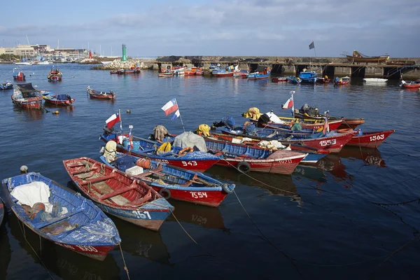 Port rybacki w Antofagasta, Chile — Zdjęcie stockowe