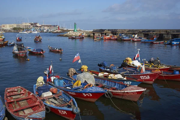 Rybářský přístav v Antofagasta, Chile — Stock fotografie