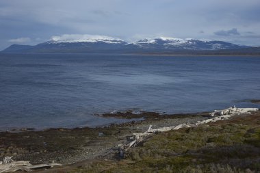 Magellan Strait in Patagonia, Chile clipart