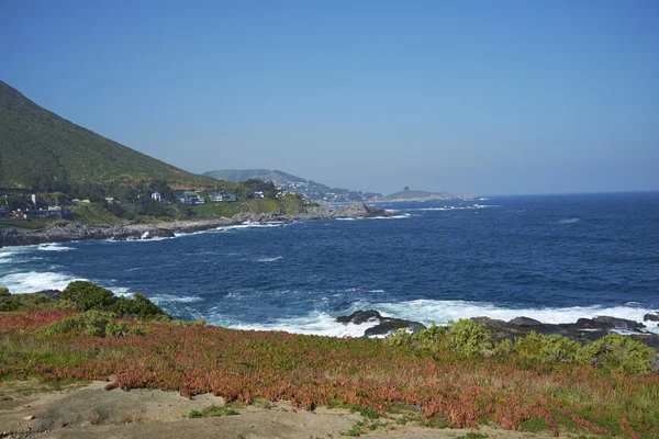 Scenic Shot Beautiful Shore Chile — Stock Photo, Image