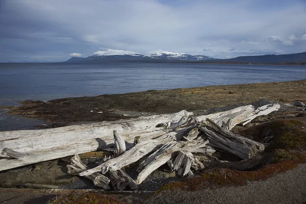 Magellan Strait in Patagonia, Chile — Stock Photo, Image