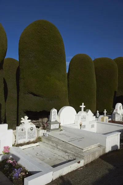 Historic Cemetery of Punta Arenas — Stock Photo, Image