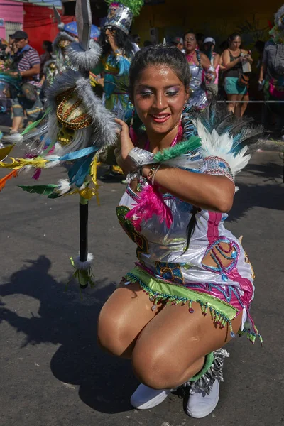 Arica Children January 2016 Tobas Dancing Traditional Andean Costume Acting — 图库照片