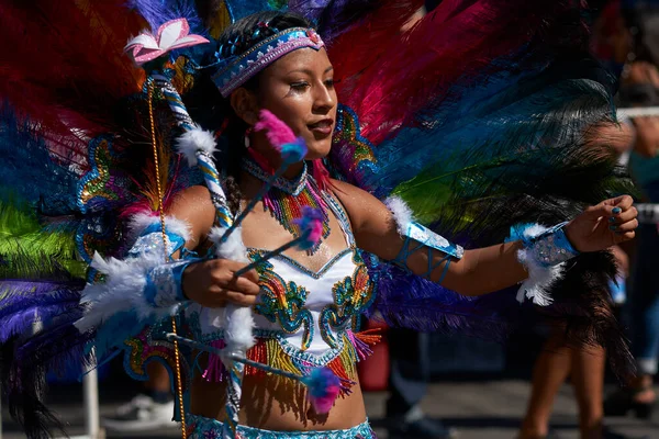 Arica Chile Janeiro 2016 Dançarinos Tobias Com Traje Tradicional Andino — Fotografia de Stock