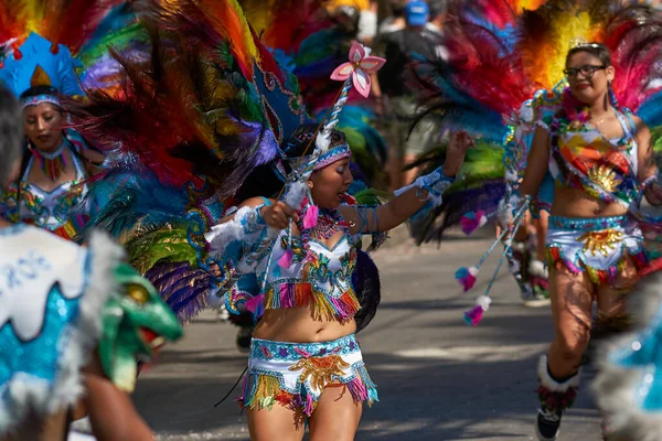 Arica Chile January 2016 Tobas Dancers Traditional Andean Costume Performing — Stock Photo, Image