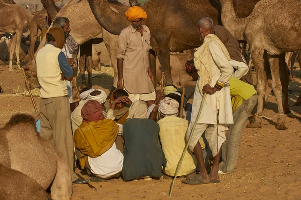 Pushkar Rajasthan Indie Listopada 2008 Grupa Pasterzy Wielbłądów Dorocznych Targach — Zdjęcie stockowe