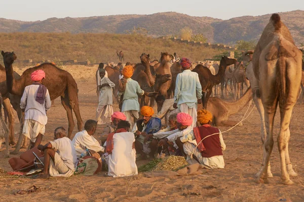 2008年11月6日インド ラジャスタン州プシュカル2008年11月6日インド ラジャスタン州の毎年恒例のプシュカル フェアにおけるラクダの牧民グループ — ストック写真