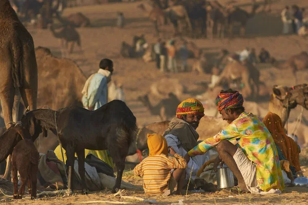 Pushkar Rajasthan India Novembre 2008 Gruppo Pastori Cammelli Alla Fiera — Foto Stock