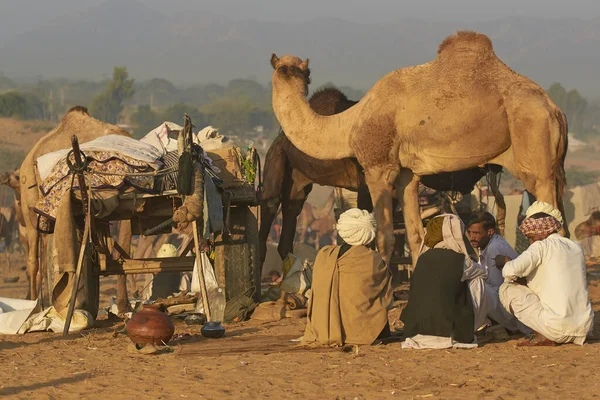 Pushkar Rajasthan Inde Novembre 2008 Groupe Éleveurs Chameaux Foire Annuelle — Photo