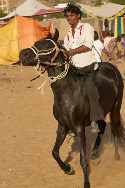 Pushkar Rajastán India Noviembre 2008 Hombre Montando Caballo Feria Anual — Foto de Stock