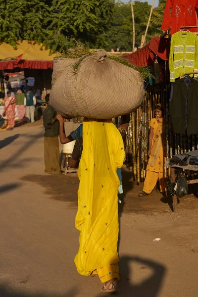 Pushkar Rajasthan India Novembre 2008 Signora Che Trasporta Grande Fascio — Foto Stock