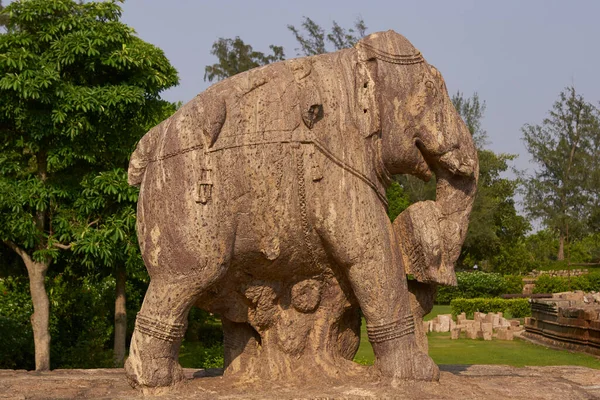 Statua Elefante Guerra Presso Antico Tempio Surya Indù Konark Orissa — Foto Stock