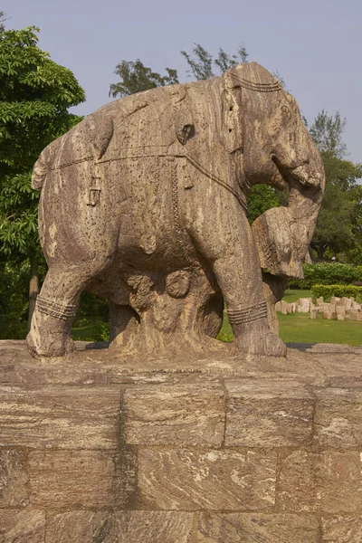 Statua Elefante Guerra Presso Antico Tempio Surya Indù Konark Orissa — Foto Stock