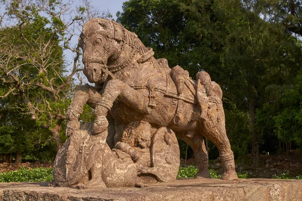 位于印度科纳克奥里萨邦的古苏里亚印度教寺庙的战马雕像 公元13世纪 — 图库照片