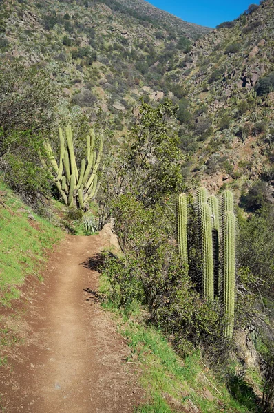 Parque Aguas de Ramon — Stock Photo, Image