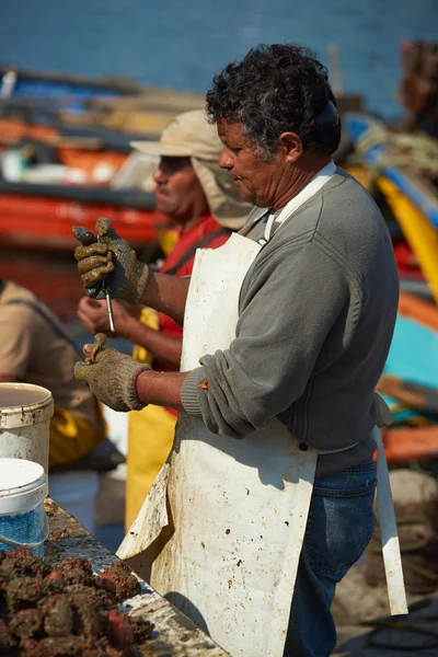 Pescador no trabalho — Fotografia de Stock